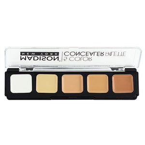 PALETA CORRECTORA 5 TONOS