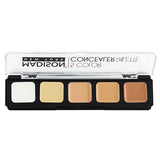 PALETA CORRECTORA 5 TONOS
